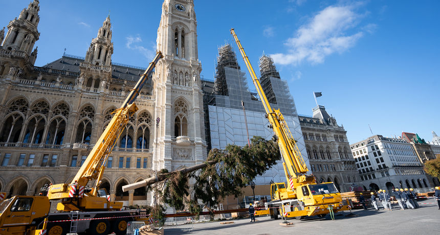 Postavljanje božićnog drvca u Beču