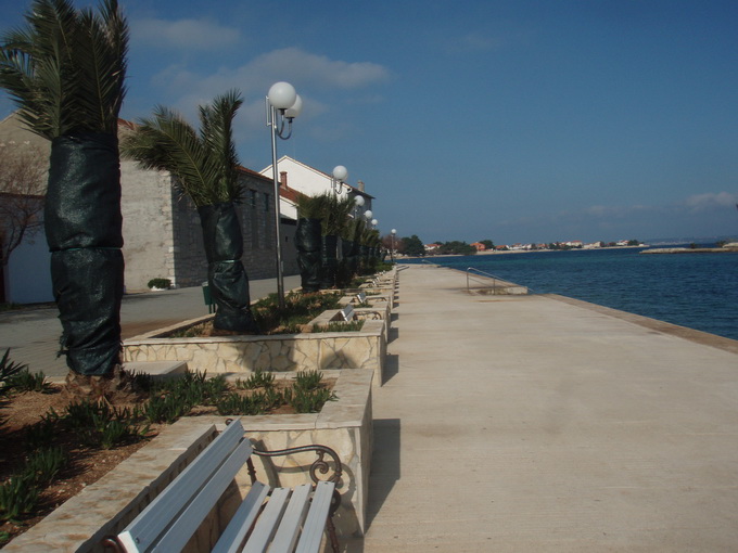 OLYMPUS DIGITAL CAMERA OLYMPUS DIGITAL CAMERA