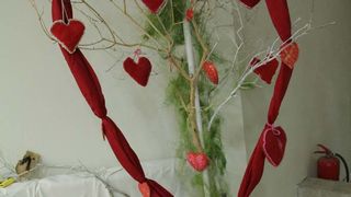 Valentinovo u Domu za stare i nemoćne, foto-I. PERINCIC