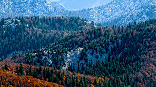 Đir do Zavižana, sjeverni Velebit, foto: Leo Banić
