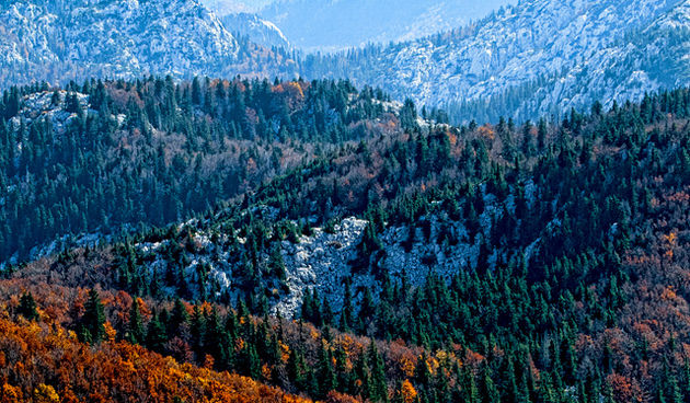 Đir do Zavižana, sjeverni Velebit, foto: Leo Banić