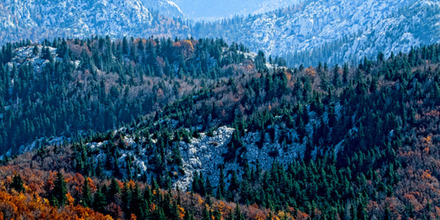 Đir do Zavižana, sjeverni Velebit, foto: Leo Banić Đir do Zavižana, sjeverni Velebit, foto: Leo Banić