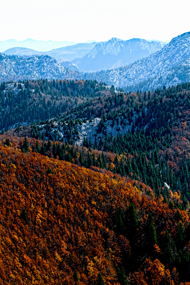 Đir do Zavižana, sjeverni Velebit, foto: Leo Banić