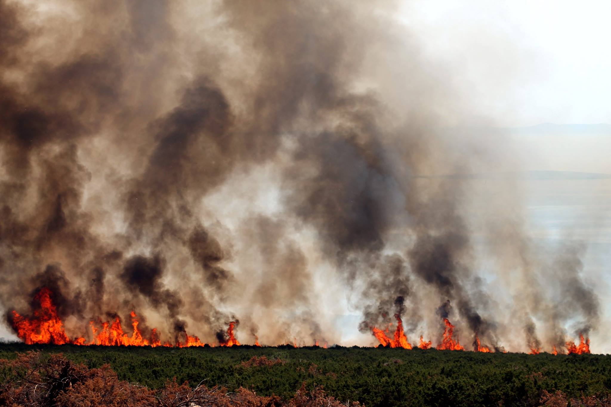 Lokaliziran požar kod Košljuna na otoku Pagu Lokaliziran požar kod Košljuna na otoku Pagu