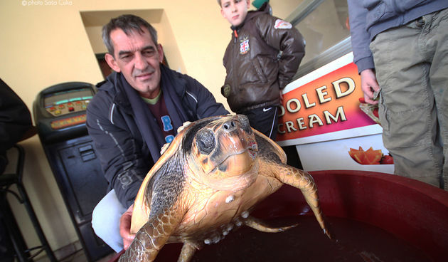 Marin Bolić s glavatom želvom, Foto: Saša Čuka