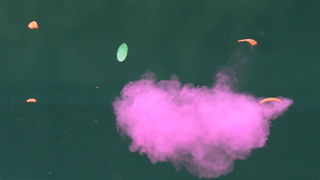 London, 060812.
Hrvatski strijelci Anton Glasnovic i Giovanni Cernogoraz u finalu trapa tijekom Olimpijskih Igara u Londonu.
Na fotografiji: ljubicasti glineni golub nakon sto je pogodjen.
Foto: Drago Sopta / CROPIX