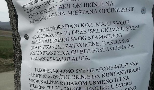 Prijatelji životinja zgroženi najavom Općine Brinje da ”ukloni” pse lutalice trovanjem