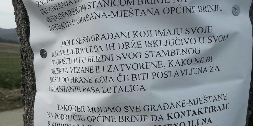 Prijatelji životinja zgroženi najavom Općine Brinje da ”ukloni” pse lutalice trovanjem Prijatelji životinja zgroženi najavom Općine Brinje da ”ukloni” pse lutalice trovanjem