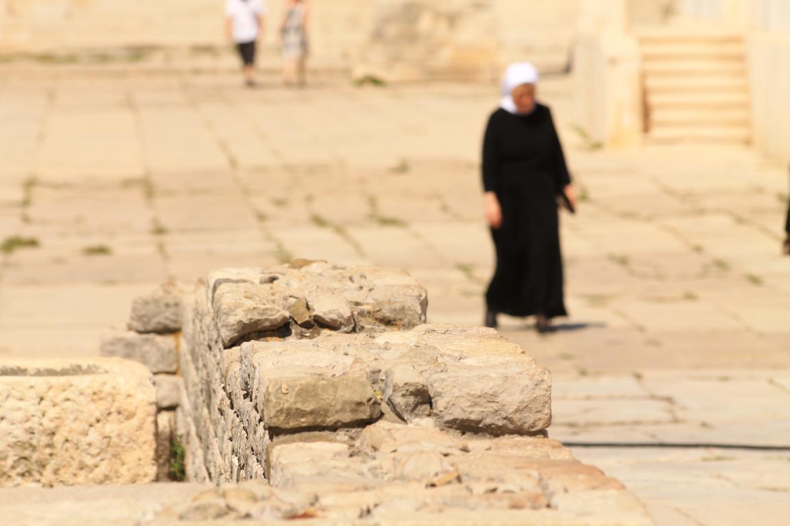 Đir po gradu 26. kolovoza 2016.