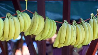 Image 1200373 (auto)