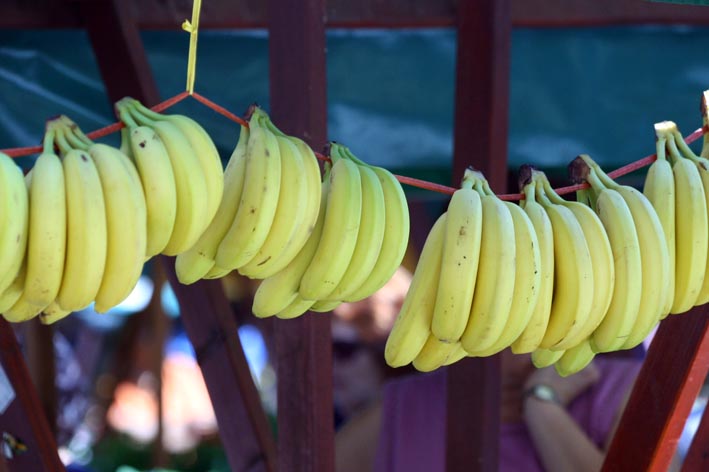 Image 1200373 (auto)