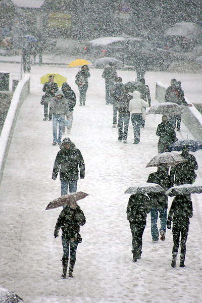 Snijeg u Zadru, 17. prosinca 2009, Foto: Saša Čuka