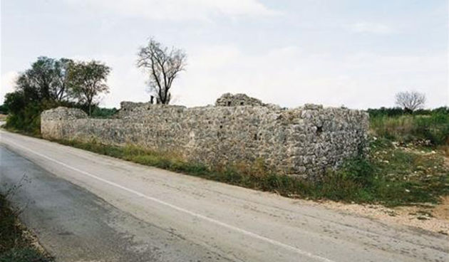 Dvorine, ostaci Rogovskog dvora