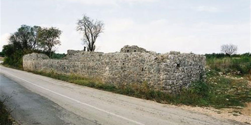 Dvorine, ostaci Rogovskog dvora