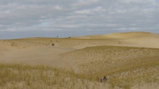 Image 1182965 (auto) Image 1182965 (auto)