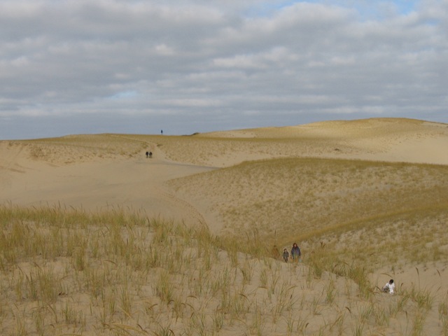 Image 1182965 (auto) Image 1182965 (auto)