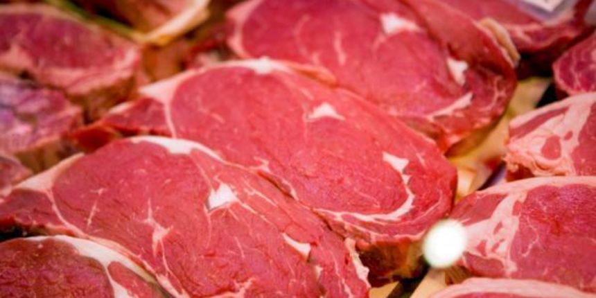 Meso, foto: sportbloger.com