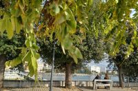 Zadarska šetnica s najlipšim pogledom u jesen je idealna za predah i “punjenje baterija” Zadarska šetnica s najlipšim pogledom u jesen je idealna za predah i “punjenje baterija”