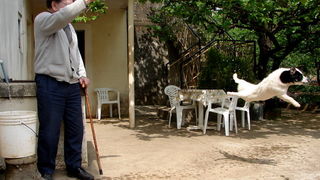 Djir po Arbanasima: Od Fontane do Punte Bajlo, Foto: Bernard Kotlar