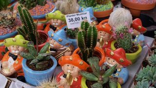 Sv. Filip i Jakov – 10. Dani cvijeća, 24. i 25. travnja 2010. (Foto: Vedran Penga)