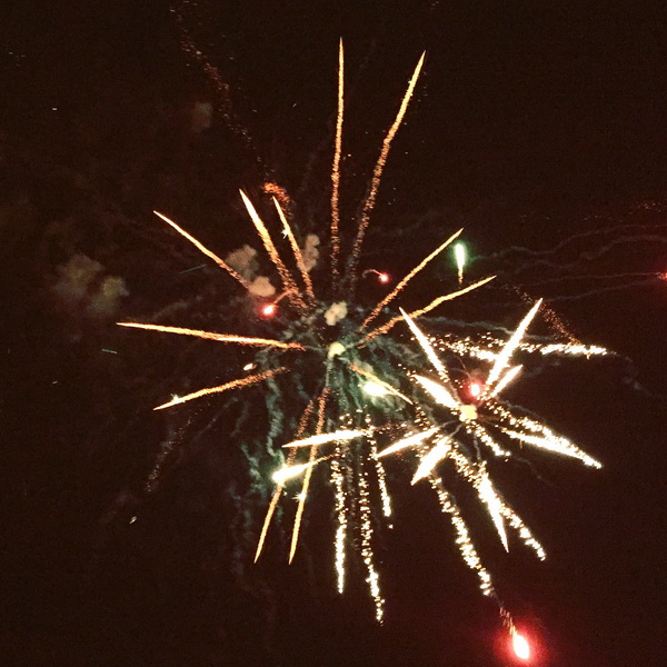 Čeprljandska fešta 2016. Foto: Valentin Bakota Čeprljandska fešta 2016. Foto: Valentin Bakota