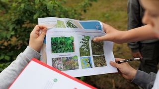 Noć tvrđava u Zadru – prijepodnevni program