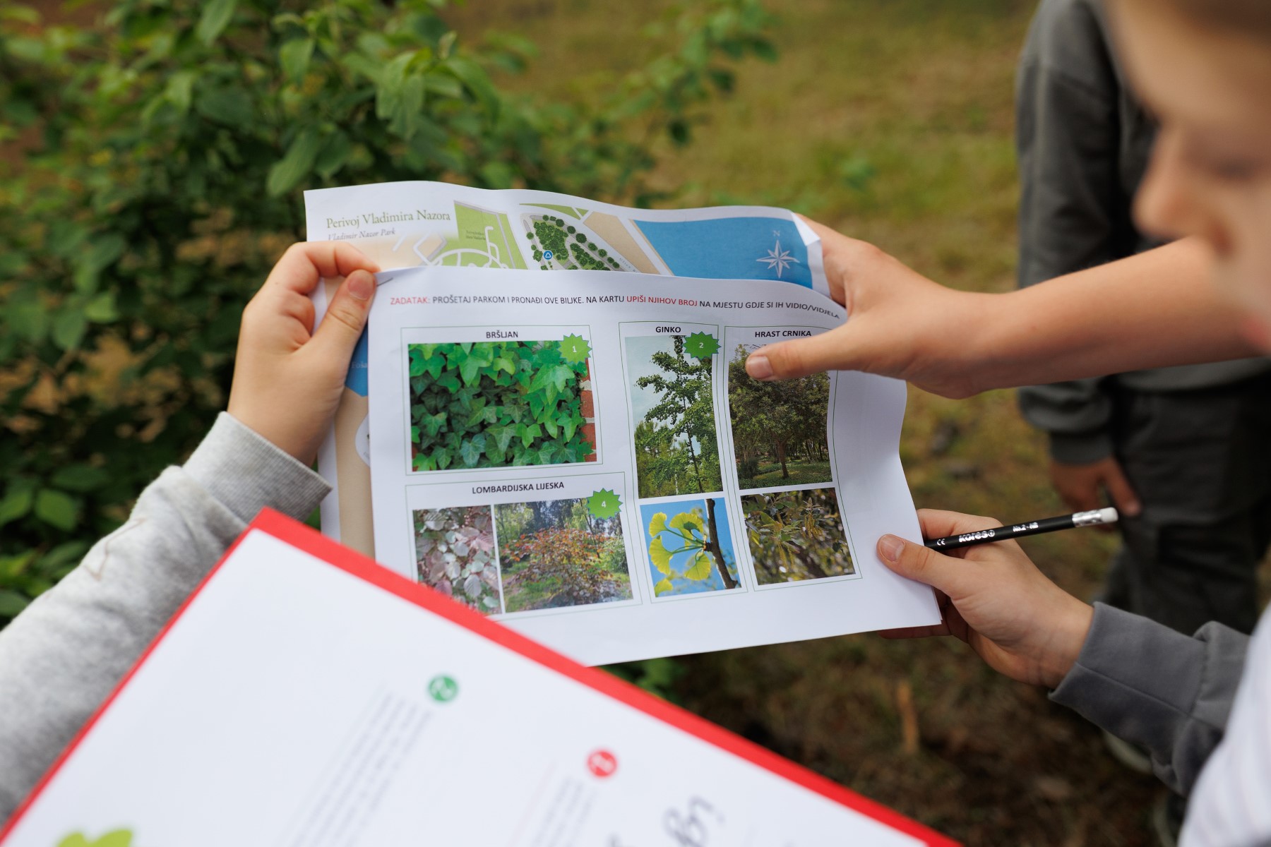 Noć tvrđava u Zadru – prijepodnevni program