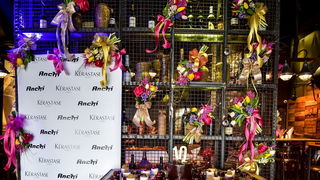 Humanitarna proslava 10. rođendana Frizerskog salona Anchi @ Harbor Cookhouse & Club