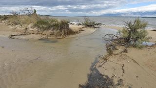 Čuvena ninska plaža Ždrijac teško stradala u poplavi