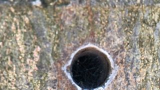 Ekocid u uvali Maestral Ekocid u uvali Maestral