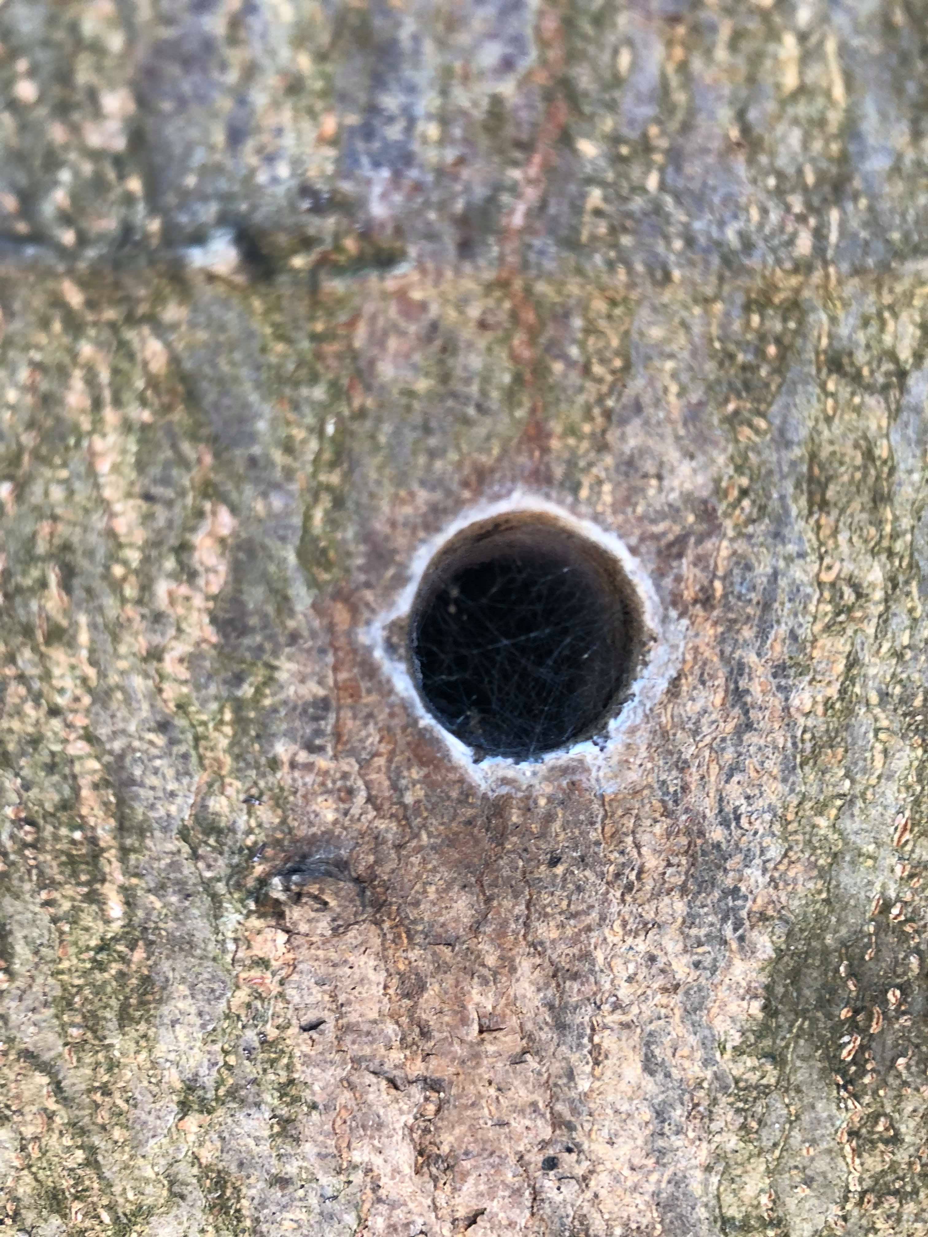 Ekocid u uvali Maestral Ekocid u uvali Maestral