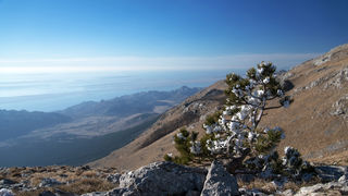 Od Velikog Rujna, preko Rujanske kose do Višerujna…