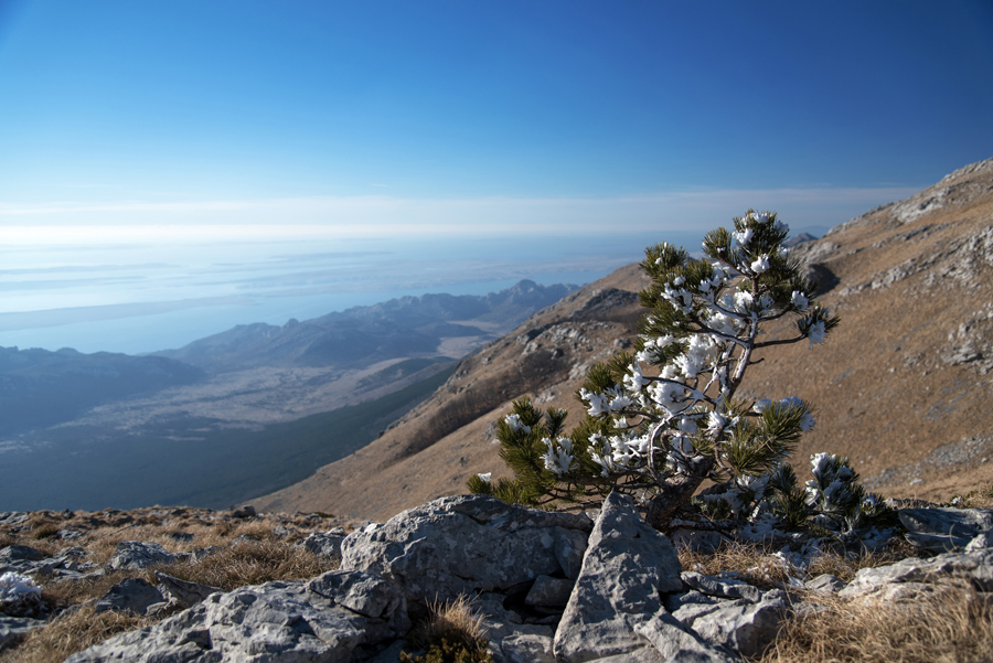 Od Velikog Rujna, preko Rujanske kose do Višerujna…