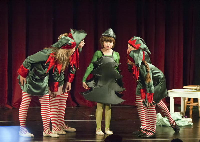 HNK Zadar: HNK Zadar: