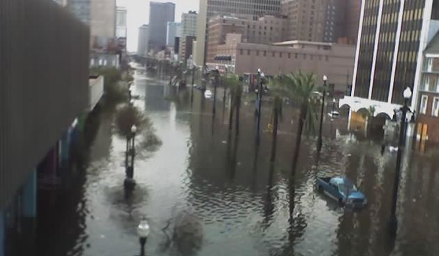 Image 1204319 (auto)