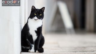 Đir po gradu, srijeda 13. prosinca 2017.