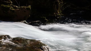 OLYMPUS DIGITAL CAMERA OLYMPUS DIGITAL CAMERA