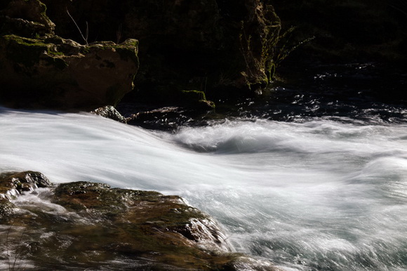 OLYMPUS DIGITAL CAMERA OLYMPUS DIGITAL CAMERA