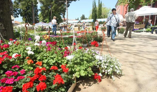 U Sv. Filip i Jakovu danas je otvoren 14. Festival cvijeća Zadarske županije, Foto: Dino Stanin/PIXSELL