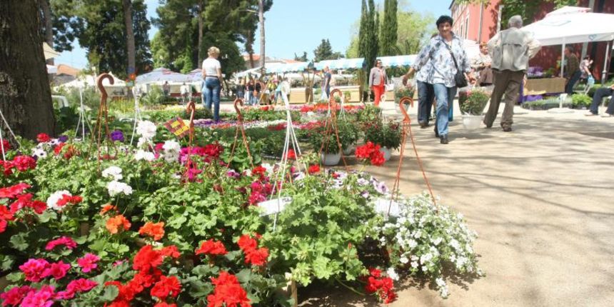 U Sv. Filip i Jakovu danas je otvoren 14. Festival cvijeća Zadarske županije, Foto: Dino Stanin/PIXSELL U Sv. Filip i Jakovu danas je otvoren 14. Festival cvijeća Zadarske županije, Foto: Dino Stanin/PIXSELL