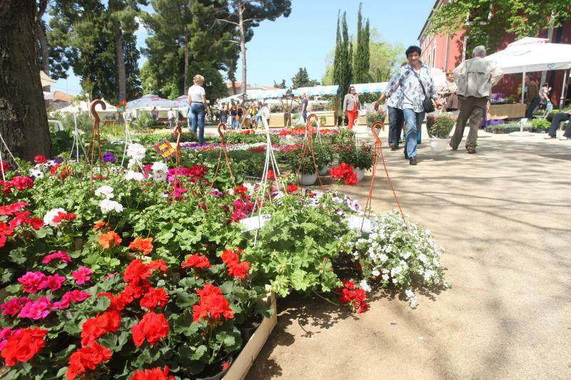 U Sv. Filip i Jakovu danas je otvoren 14. Festival cvijeća Zadarske županije, Foto: Dino Stanin/PIXSELL