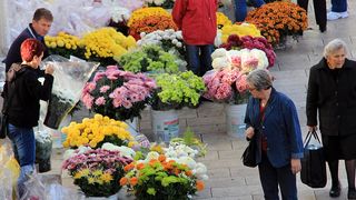 Započela prodaja cvijeća na zadarskoj tržnici, foto-I. Perinčić Započela prodaja cvijeća na zadarskoj tržnici, foto-I. Perinčić