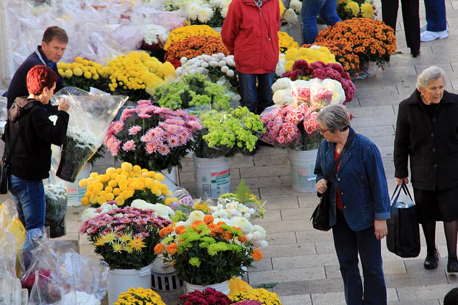 Započela prodaja cvijeća na zadarskoj tržnici, foto-I. Perinčić Započela prodaja cvijeća na zadarskoj tržnici, foto-I. Perinčić