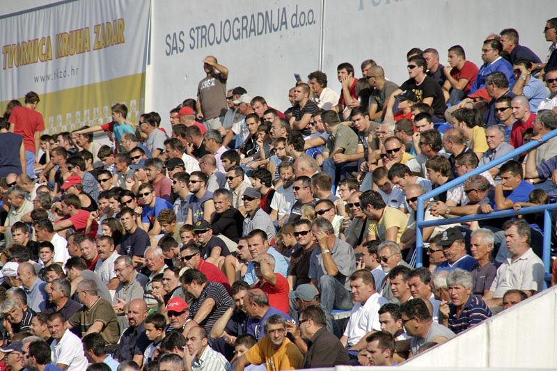 Image 1184485 (auto)