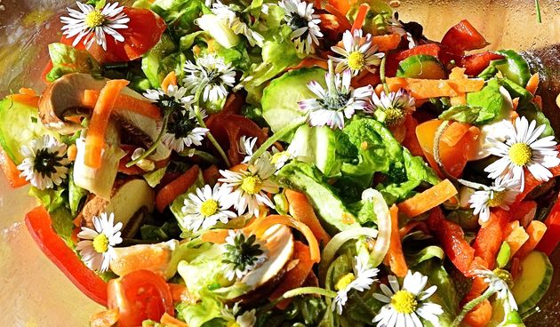 Koliko poznajete biljku zvana divlja salata