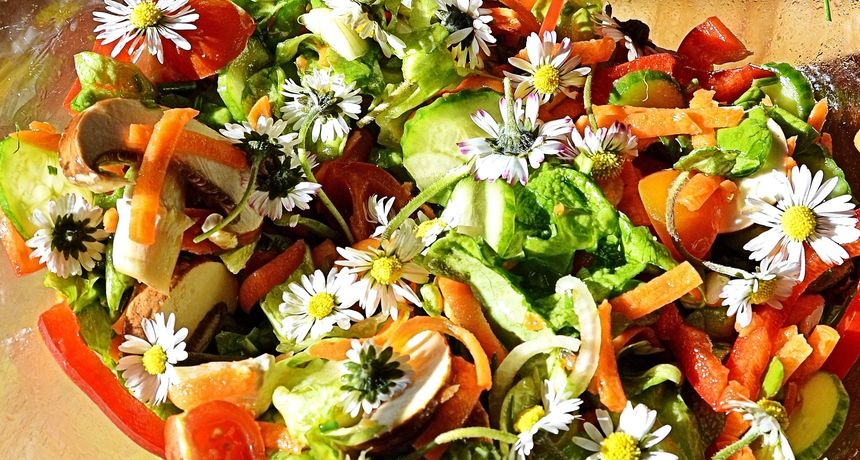 Koliko poznajete biljku zvana divlja salata