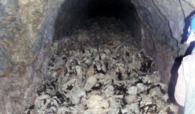 Masova grobnica kod laškog (Foto:Delo.si)