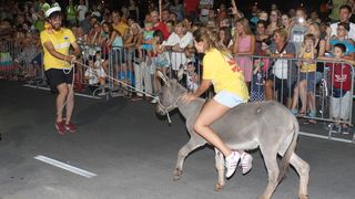 10. međunarodna trka tovarov Tisno 2015