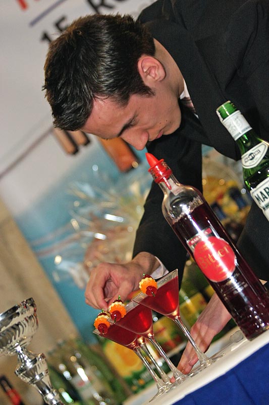 Havana Cup 2009. – 15. regionalno natjecanje barmena (foto: Marin Gospić)