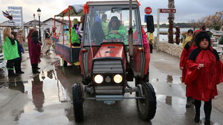 Virske maškare 2018: Defile maškaranih skupina i fešta uz “Koktelse”